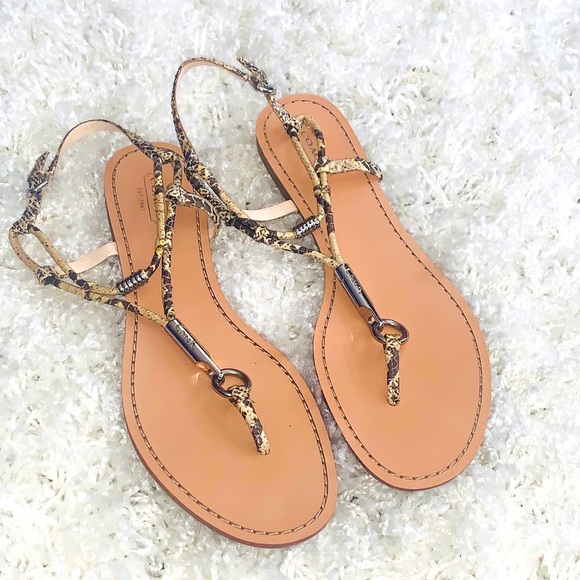 Coach Shoes - Coach Snake Print Sandals